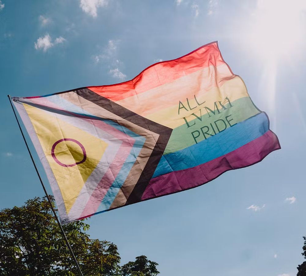 LVMH Pride Strategy